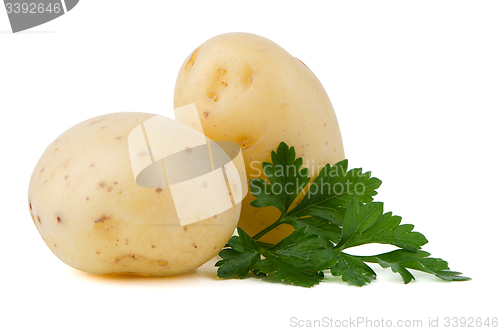 Image of New potatoes and green parsley