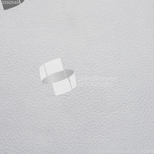 Image of White leather texture