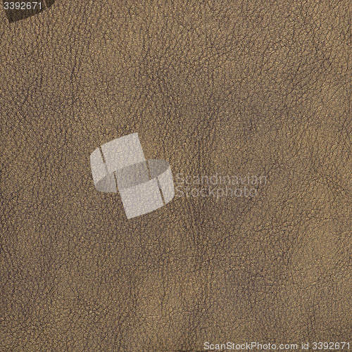 Image of Brown leather texture