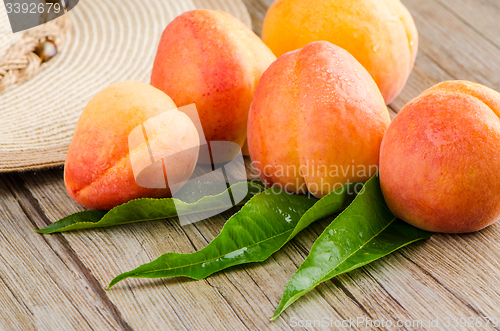 Image of Apricots with leaves