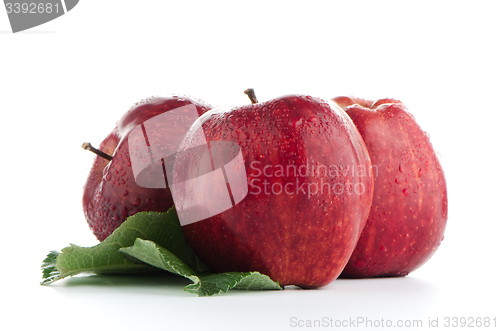 Image of Ripe red apples