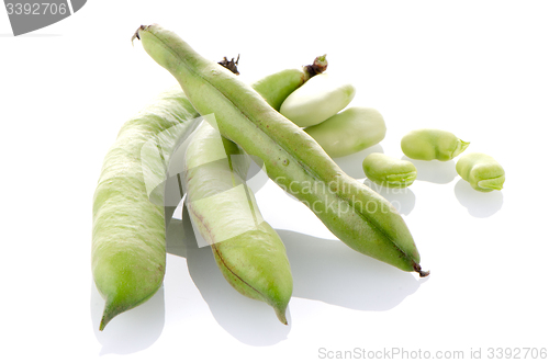 Image of Green beans