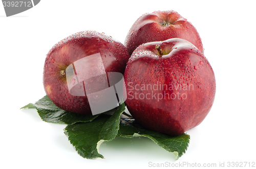 Image of Ripe red apples