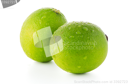 Image of Fresh green limes