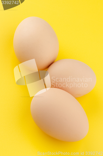 Image of Three brown eggs