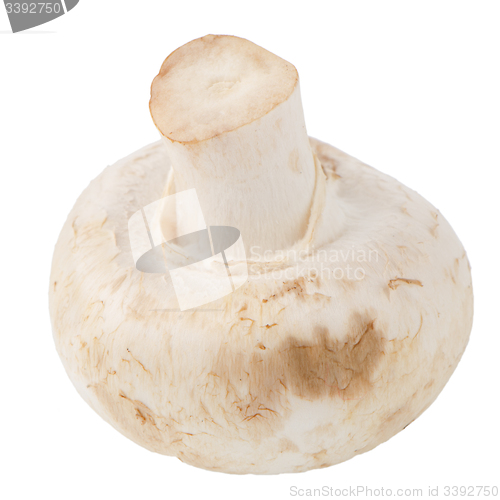 Image of Champignon mushroom