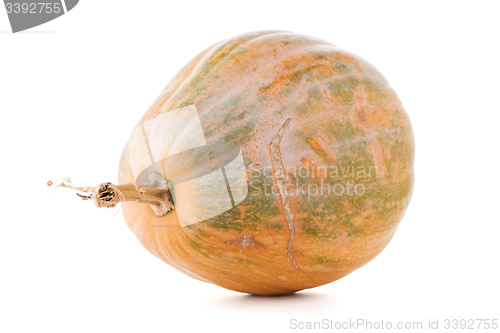 Image of Calabash pumpkin