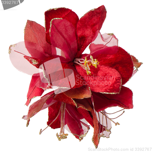 Image of Red Christmas decoration