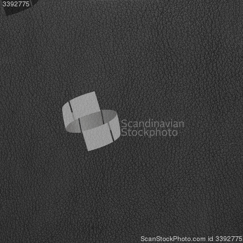 Image of Grey leather texture closeup