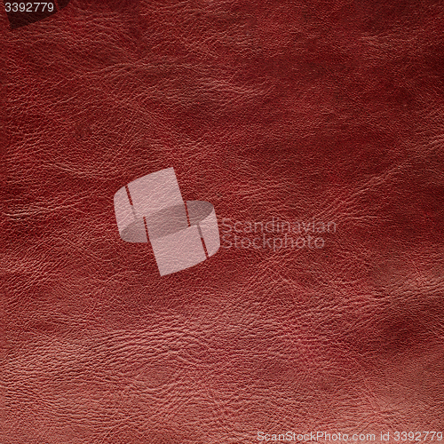 Image of Red leather texture closeup