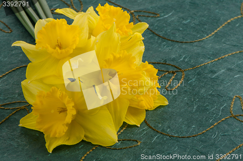 Image of Jonquil flowers