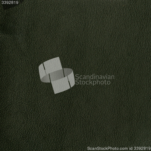 Image of Green leather texture closeup