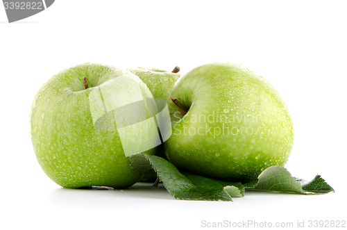 Image of Three fresh green apples