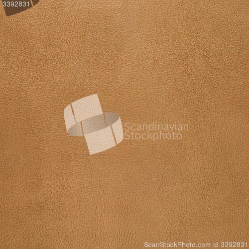 Image of Brown leather texture closeup