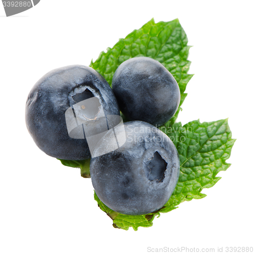 Image of Ripe blueberry