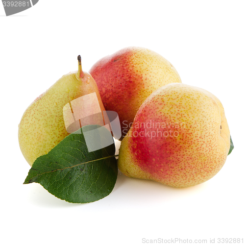 Image of Three ripe pears