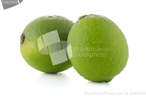 Image of Fresh green limes