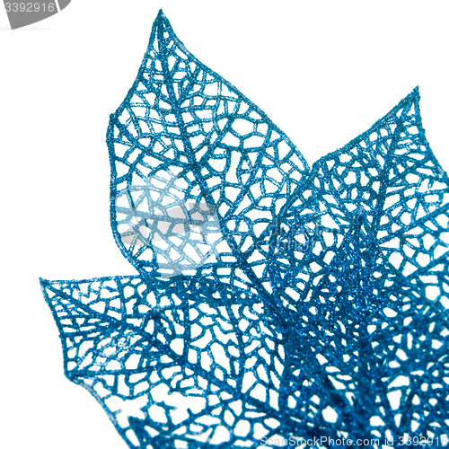 Image of Christmas decorative blue  leaves