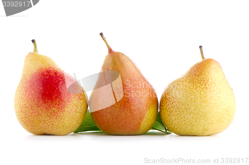 Image of Three ripe pears
