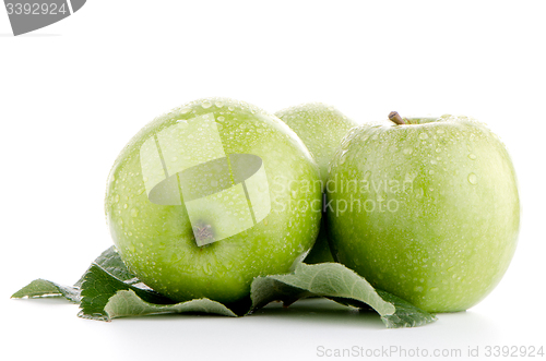 Image of Three fresh green apples