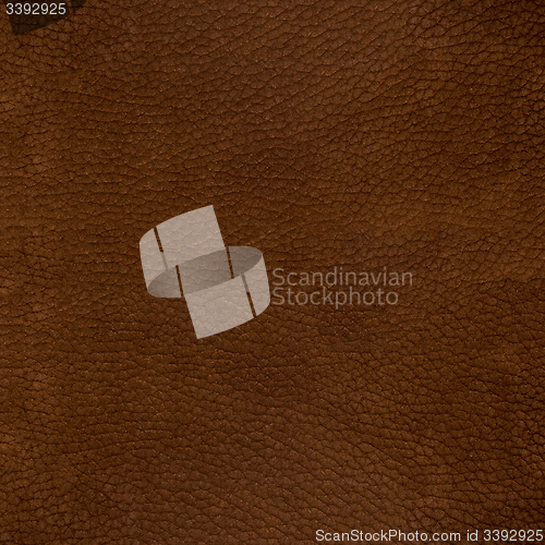 Image of Suede background