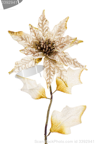 Image of White Christmas decoration