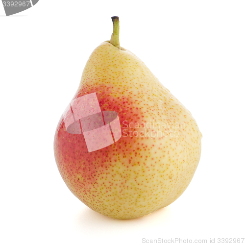 Image of Single ripe pear 