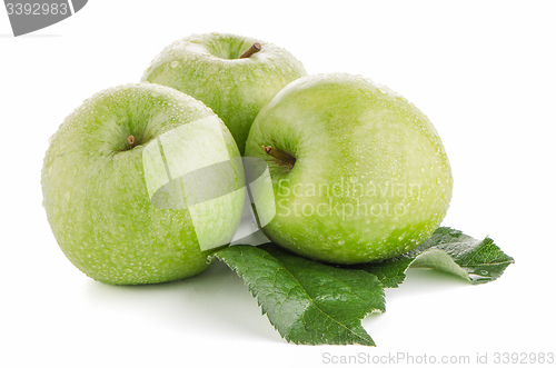 Image of Two fresh green apples