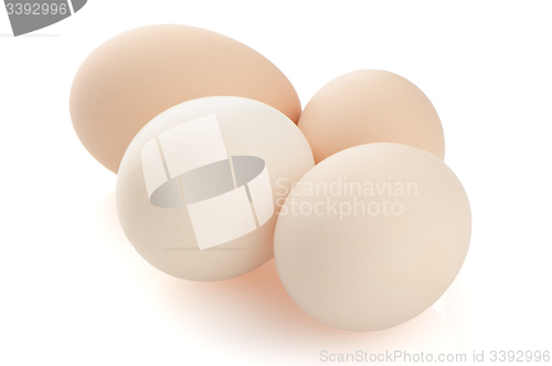 Image of Four eggs on white 