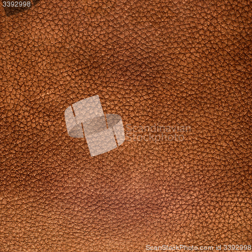 Image of Brown leather texture closeup