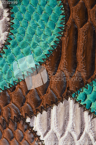 Image of Leather texture 