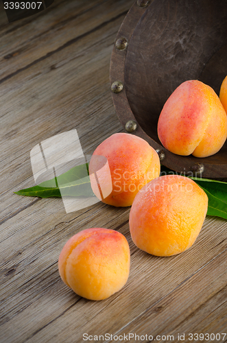 Image of Apricots with leaves