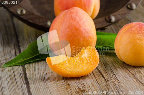 Image of Apricots with leaves