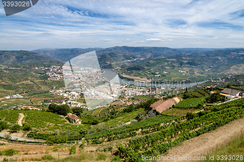 Image of Regua, vineyars in Douro Valley