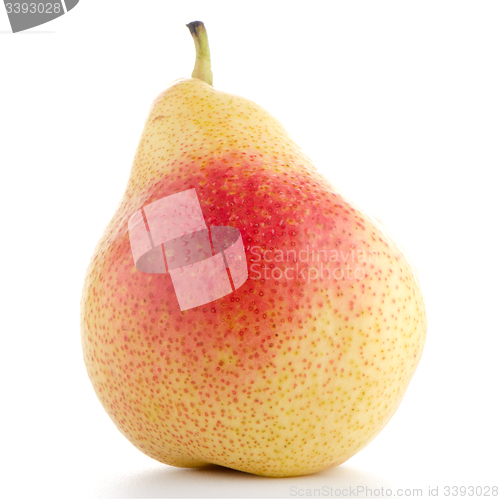 Image of Single ripe pear 