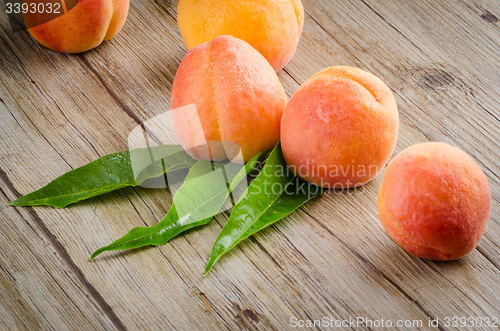 Image of Apricots with leaves
