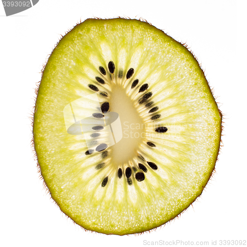 Image of One kiwi slice