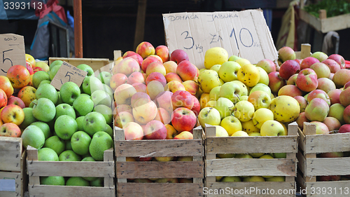 Image of Apples