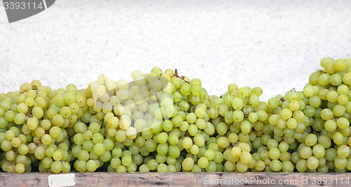 Image of White Grapes