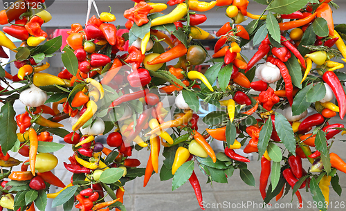 Image of Hot Chili Peppers