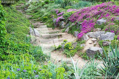Image of Stone steps and beautiful flowers.