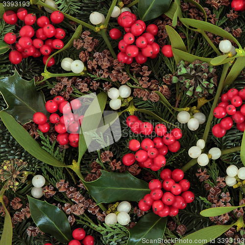 Image of Traditional Winter Flora