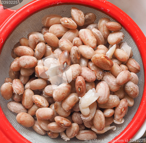 Image of Borlotti beans vegetables