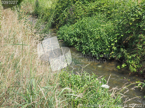 Image of Water rivulet