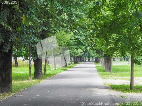 Image of Dalla Chiesa park in Collegno