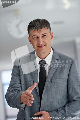 Image of business man portrait