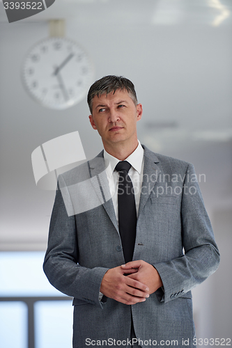 Image of business man portrait