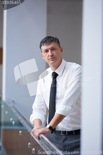 Image of business man portrait