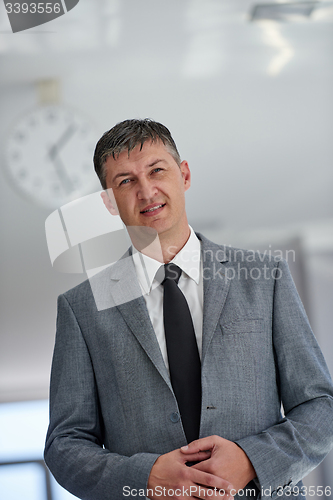 Image of business man portrait