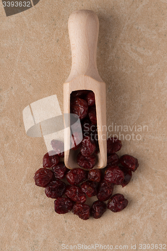 Image of Wooden scoop with dried cranberries